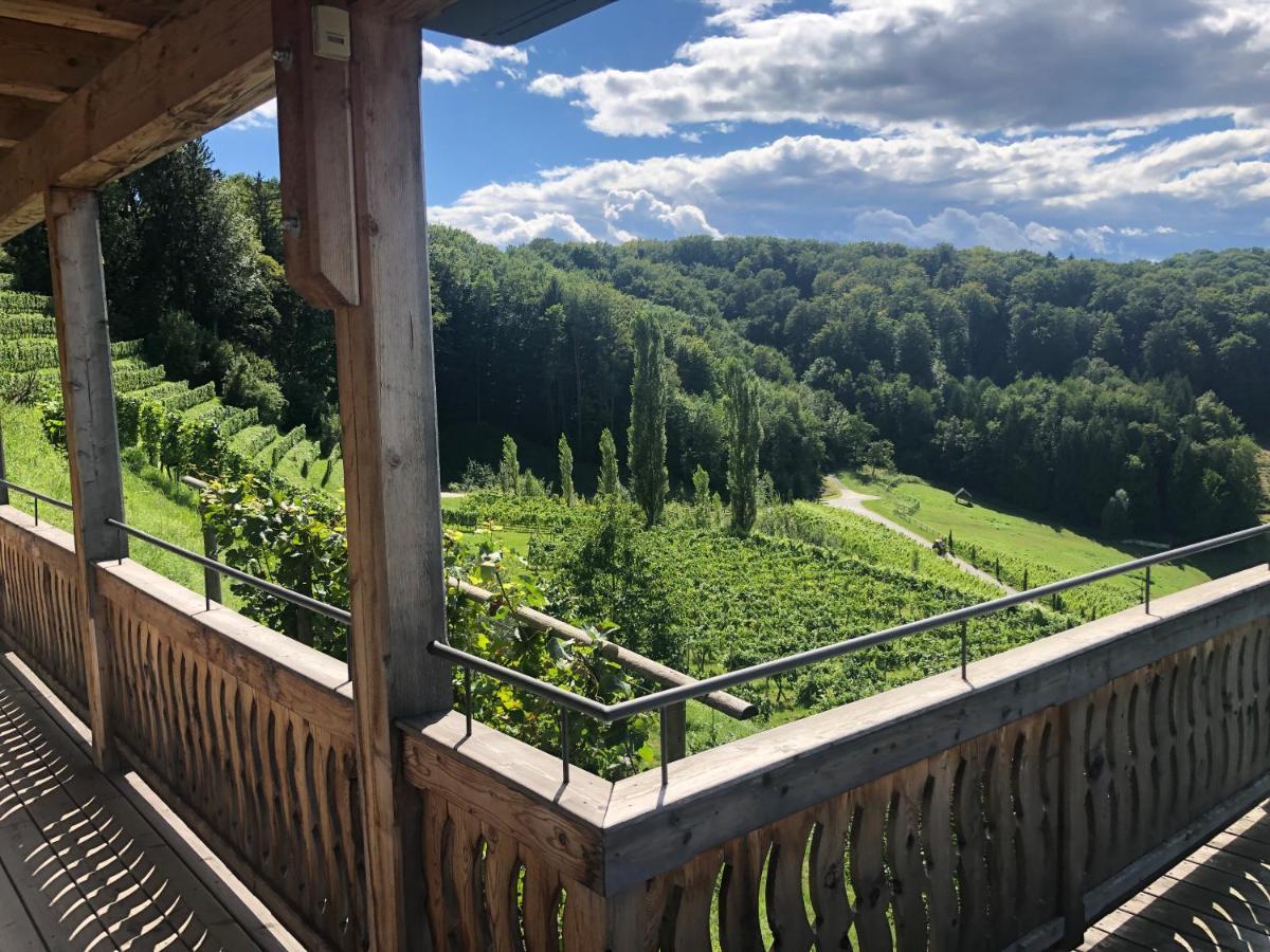 Appartement Georgiberg 埃伦豪森 外观 照片