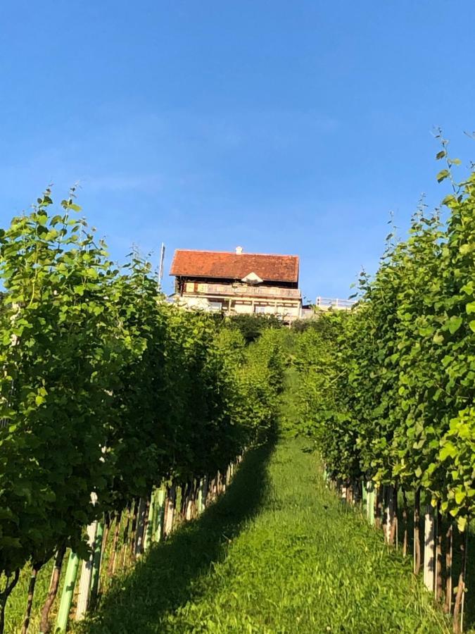 Appartement Georgiberg 埃伦豪森 外观 照片